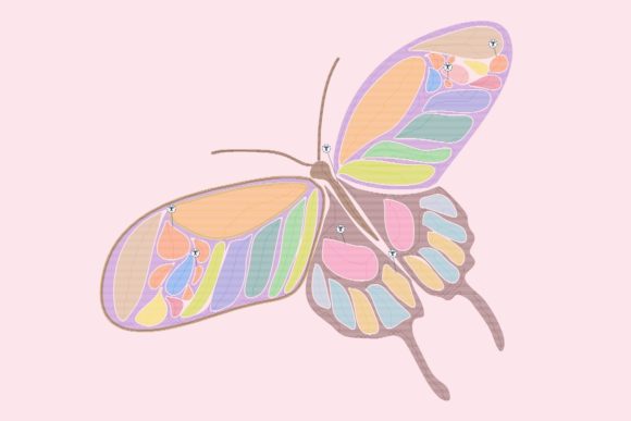Colorful November Butterfly Embroidery Review