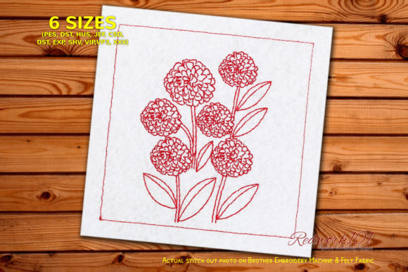Daisy Zinnia Flowers: A Designer's Real-World Review
