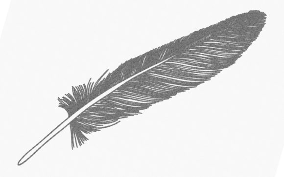 Feather One Line: A Designer's Holiday Review