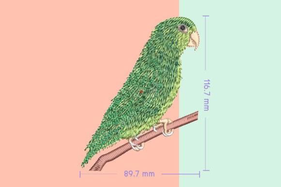 Forpus Green Cute Bird Embroidery Review