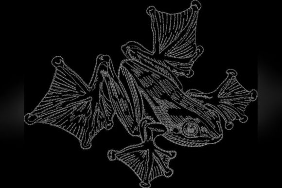 Frog One Line Embroidery Review